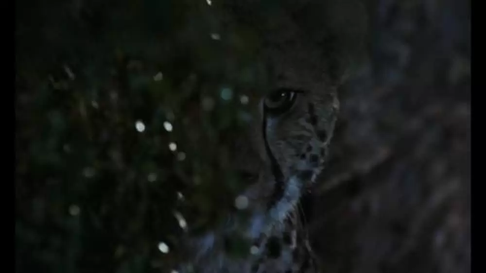 猛獣大脱走の画像