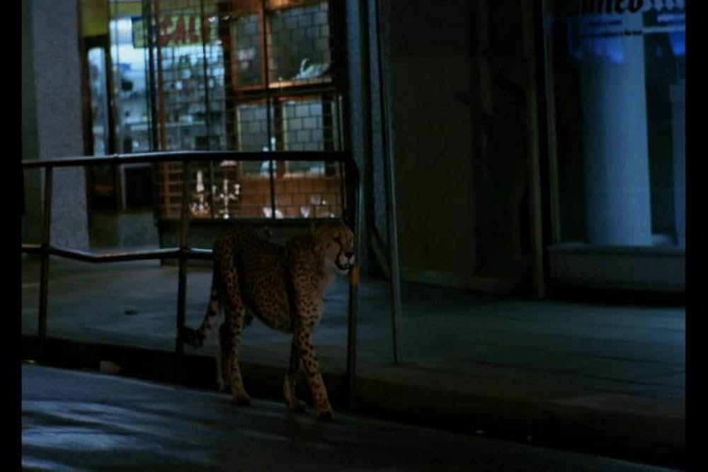 猛獣大脱走の画像