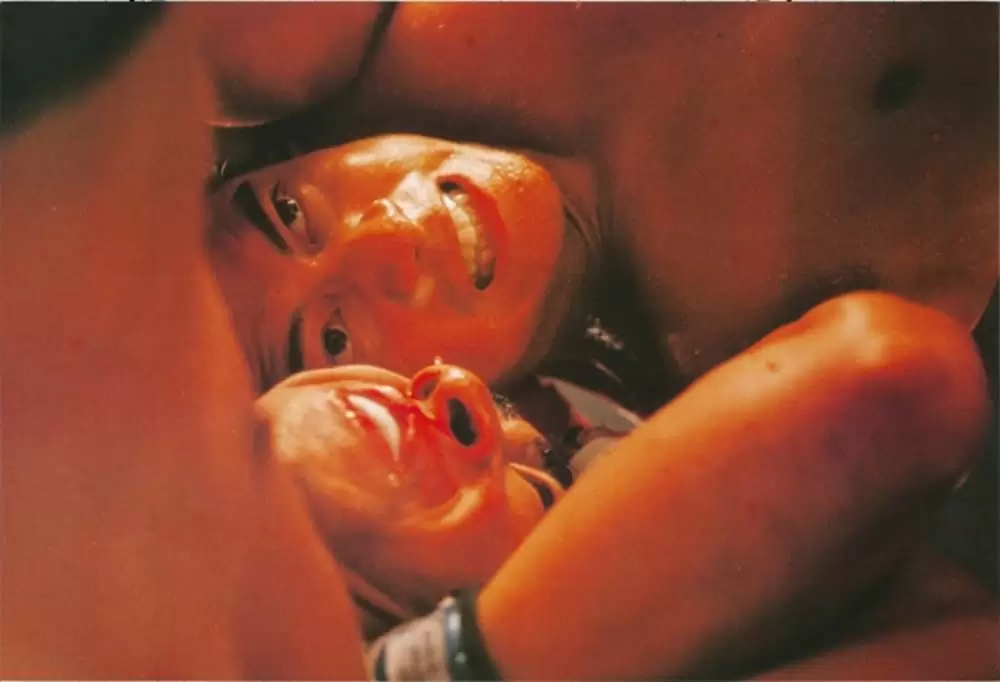 野獣の瞳の画像