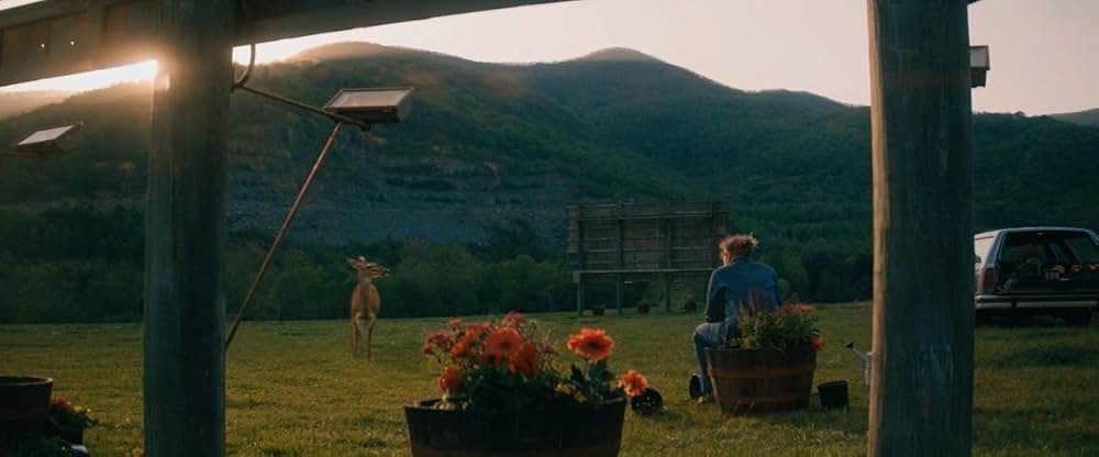 スリー・ビルボードの画像