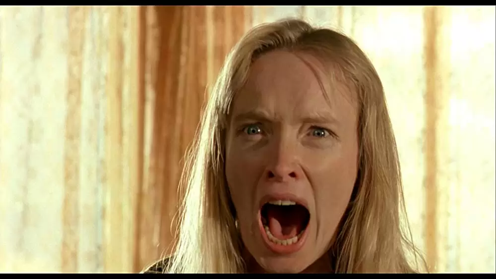 柔らかい殻の画像