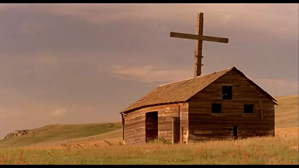 柔らかい殻の画像