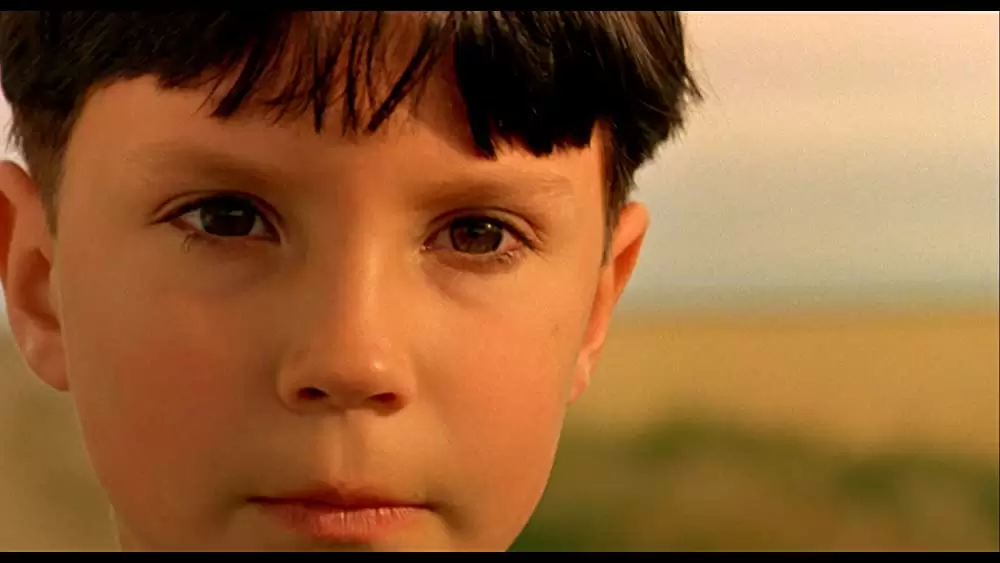 柔らかい殻の画像