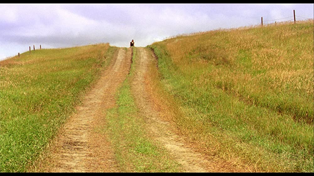 柔らかい殻の画像