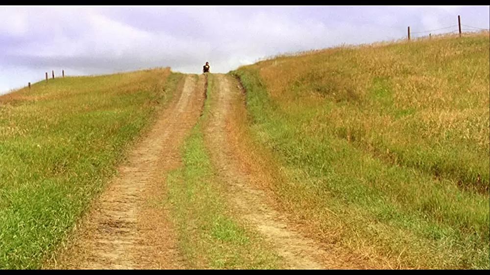 柔らかい殻の画像