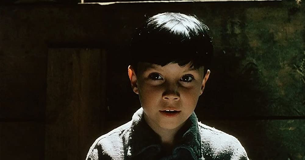 柔らかい殻の画像