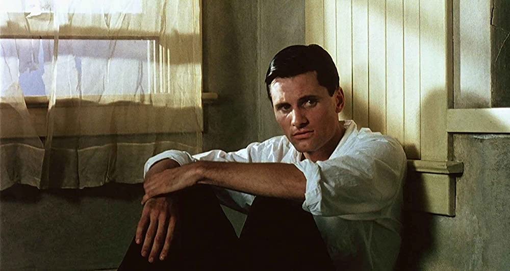 柔らかい殻の画像