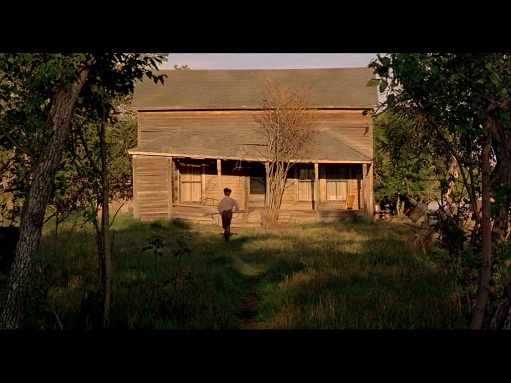 柔らかい殻の画像