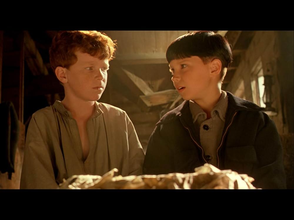 柔らかい殻の画像