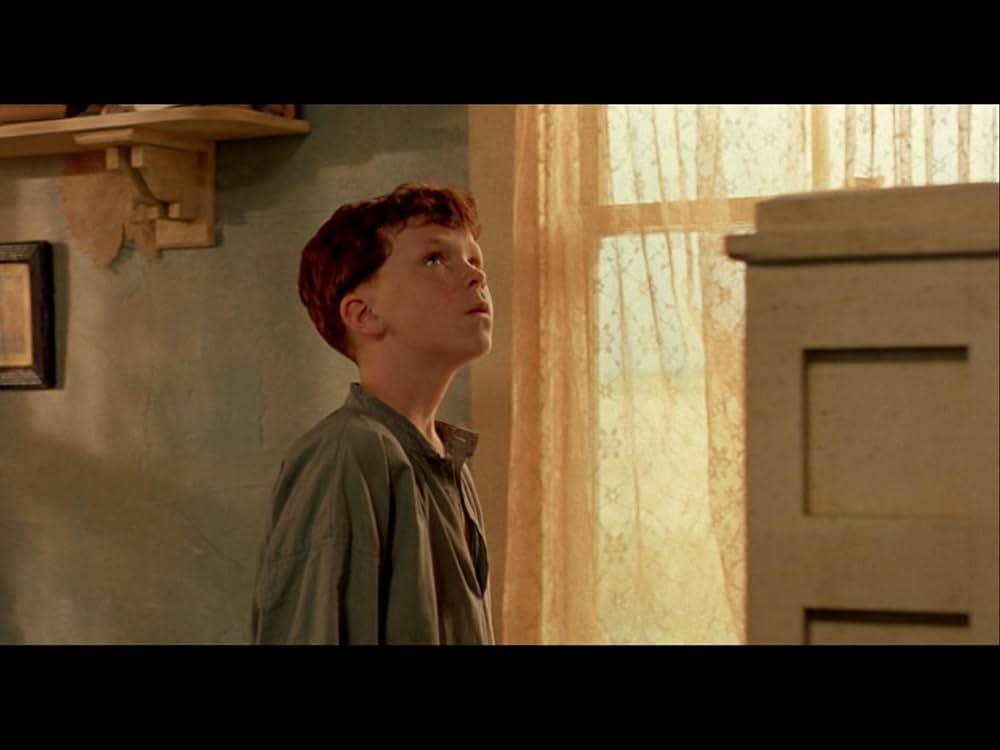 柔らかい殻の画像