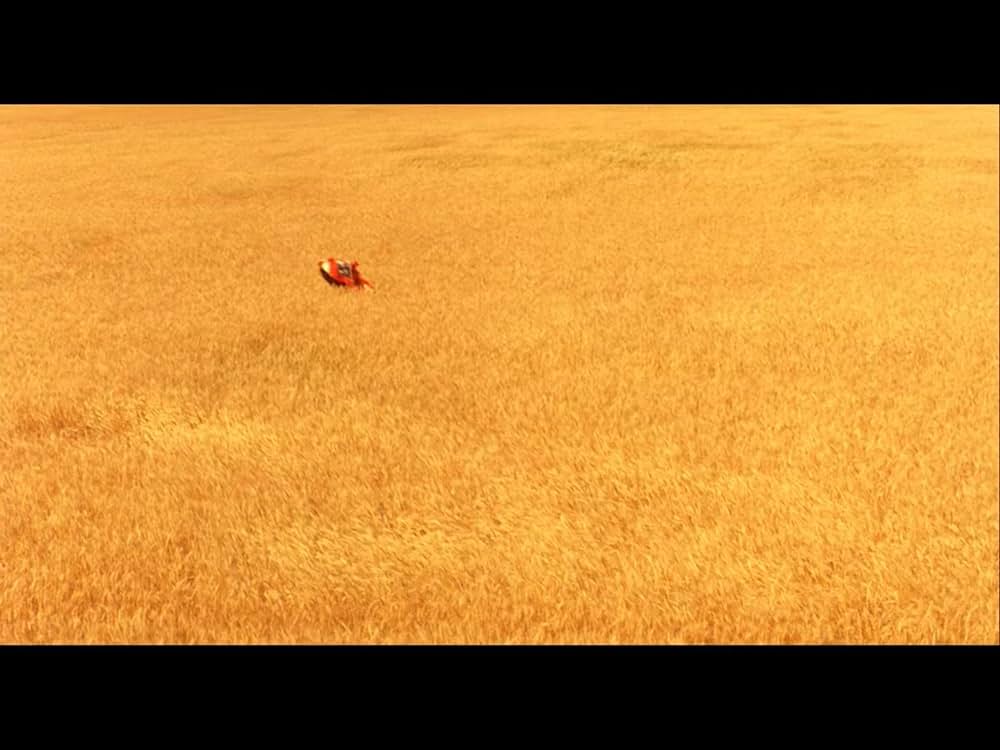 柔らかい殻の画像