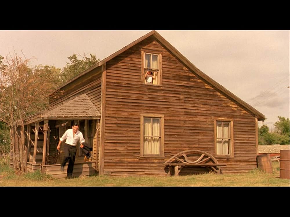 柔らかい殻の画像