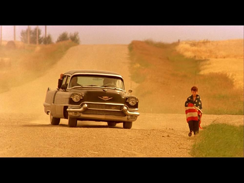 柔らかい殻の画像