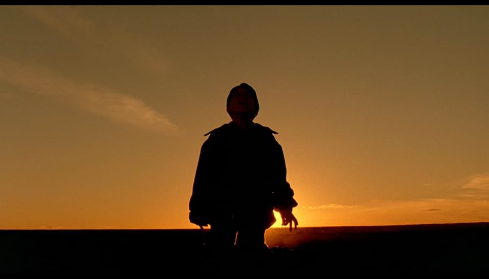 柔らかい殻の画像