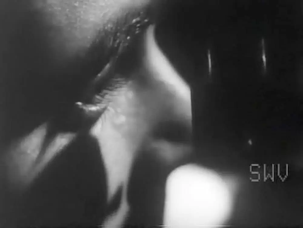 アニマル(1968)の画像