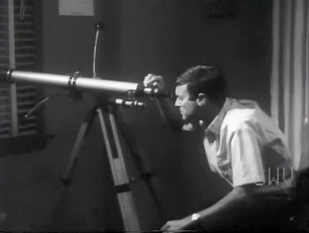 アニマル（1968）の画像