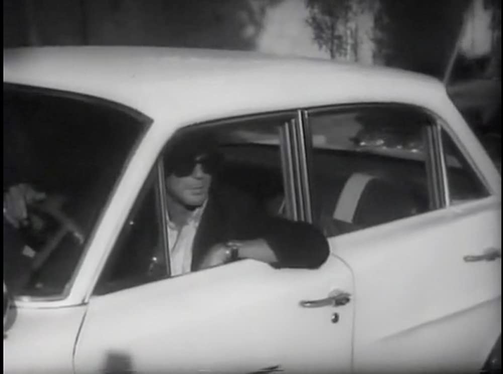 アニマル（1968）の画像