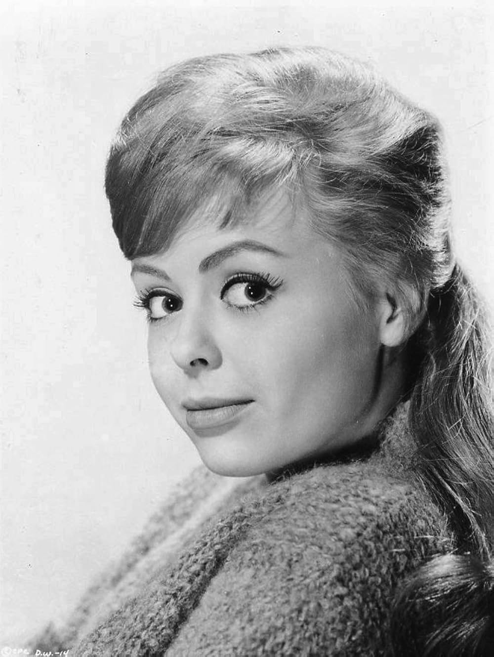 ヤング・ハワイの画像