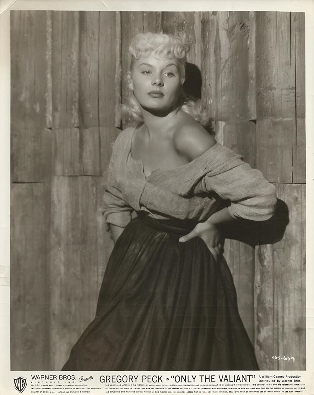 勇者のみの画像