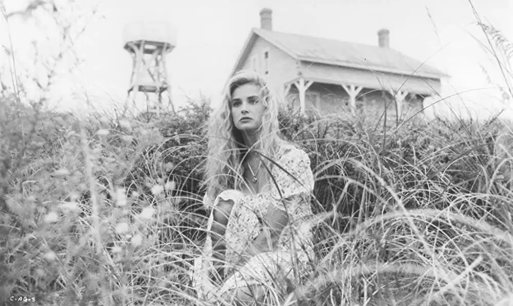 夢の降る街の画像