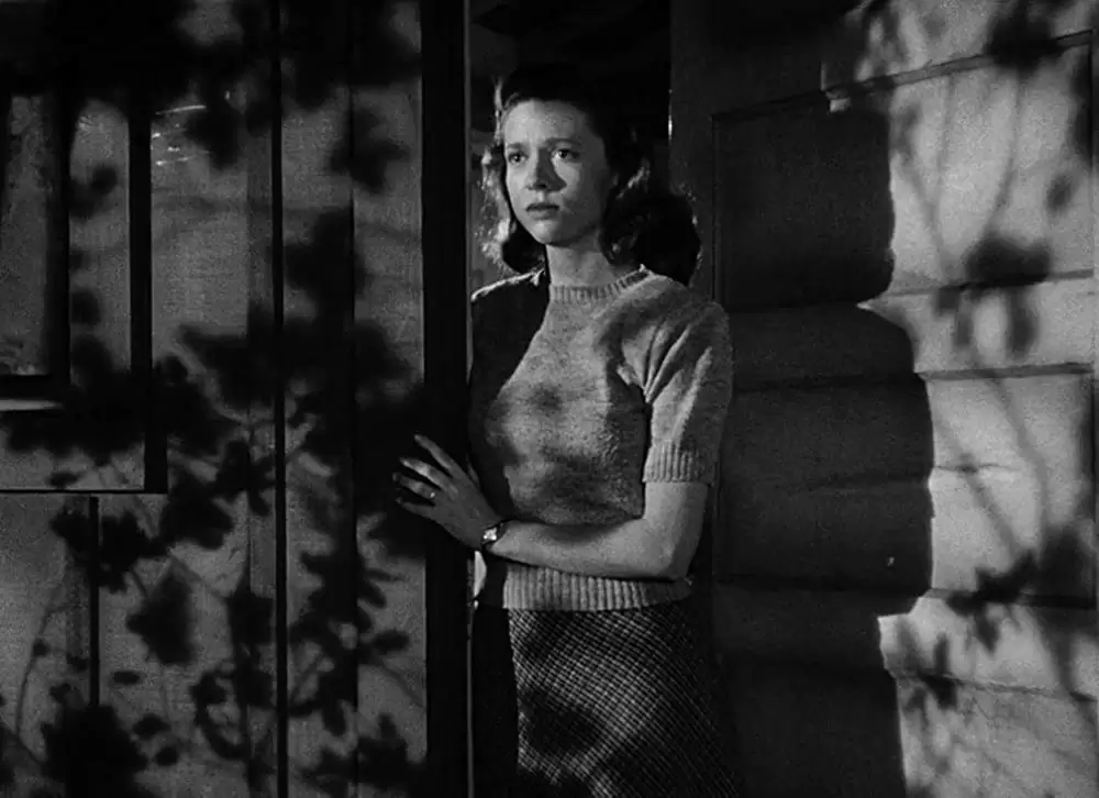 夜の人々の画像