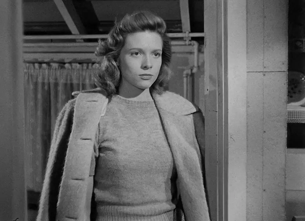 夜の人々の画像