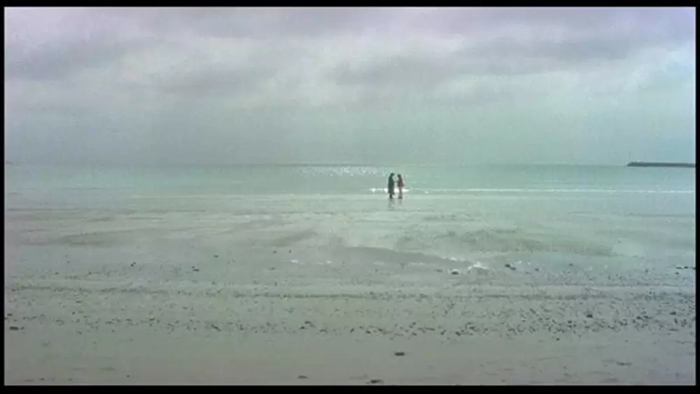 ラストコンサートの画像