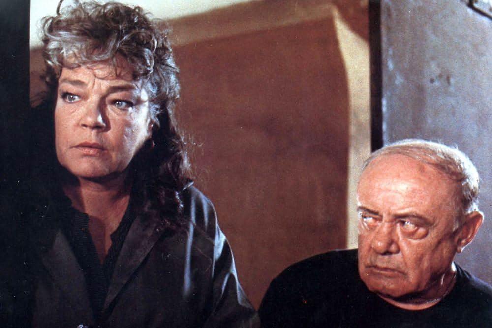 蘭の肉体の画像