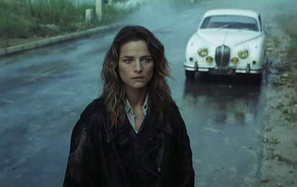 蘭の肉体の画像