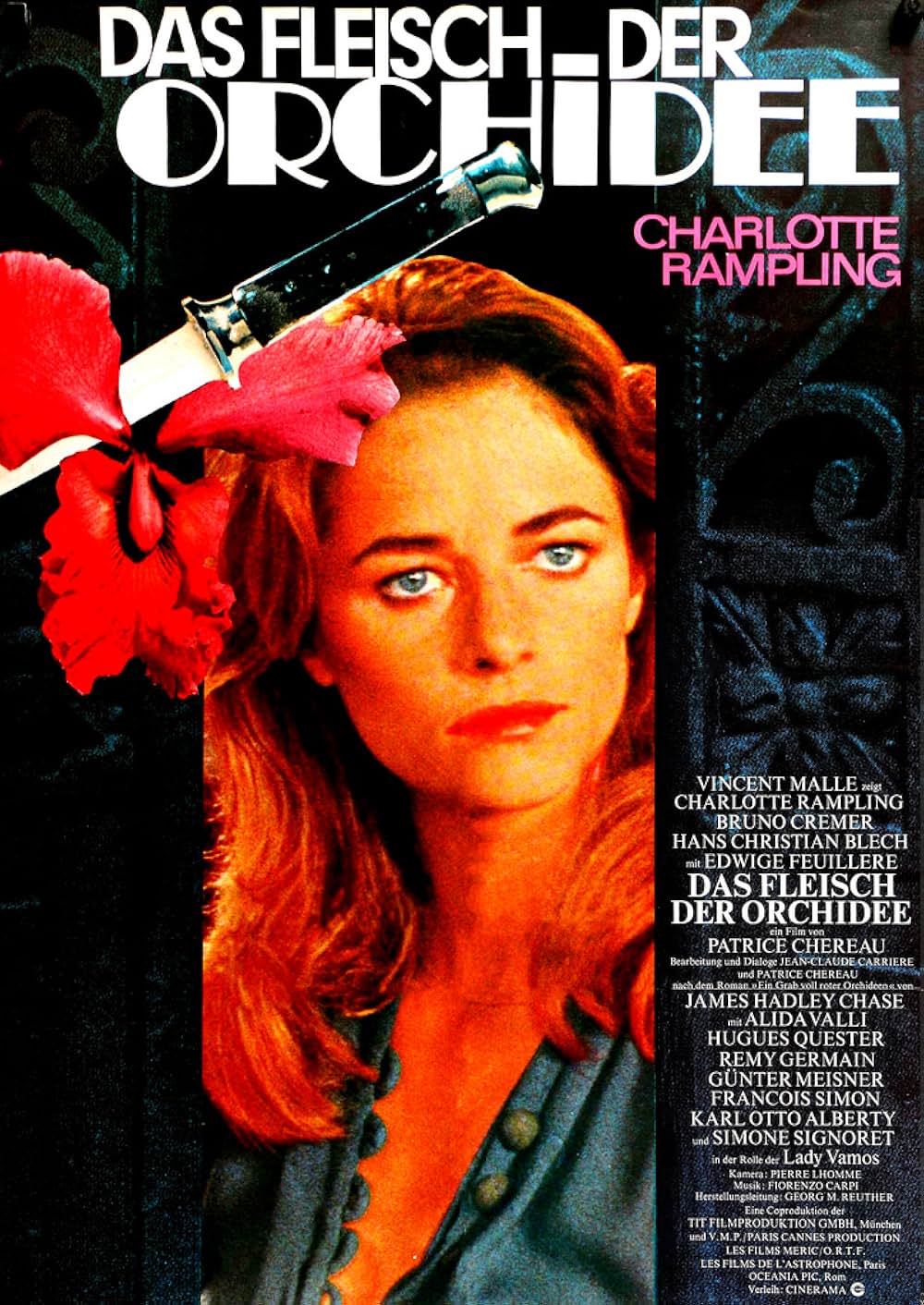 蘭の肉体の画像