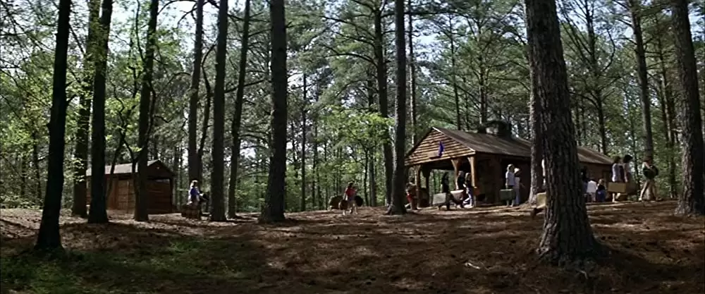 リトル・ダーリングの画像