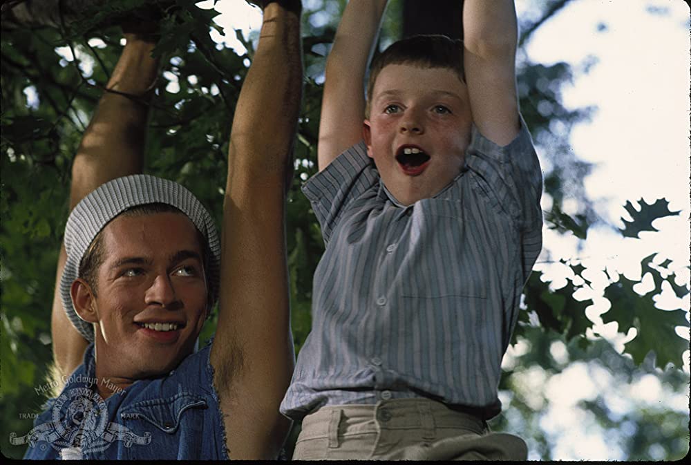 リトルマン・テイトの画像