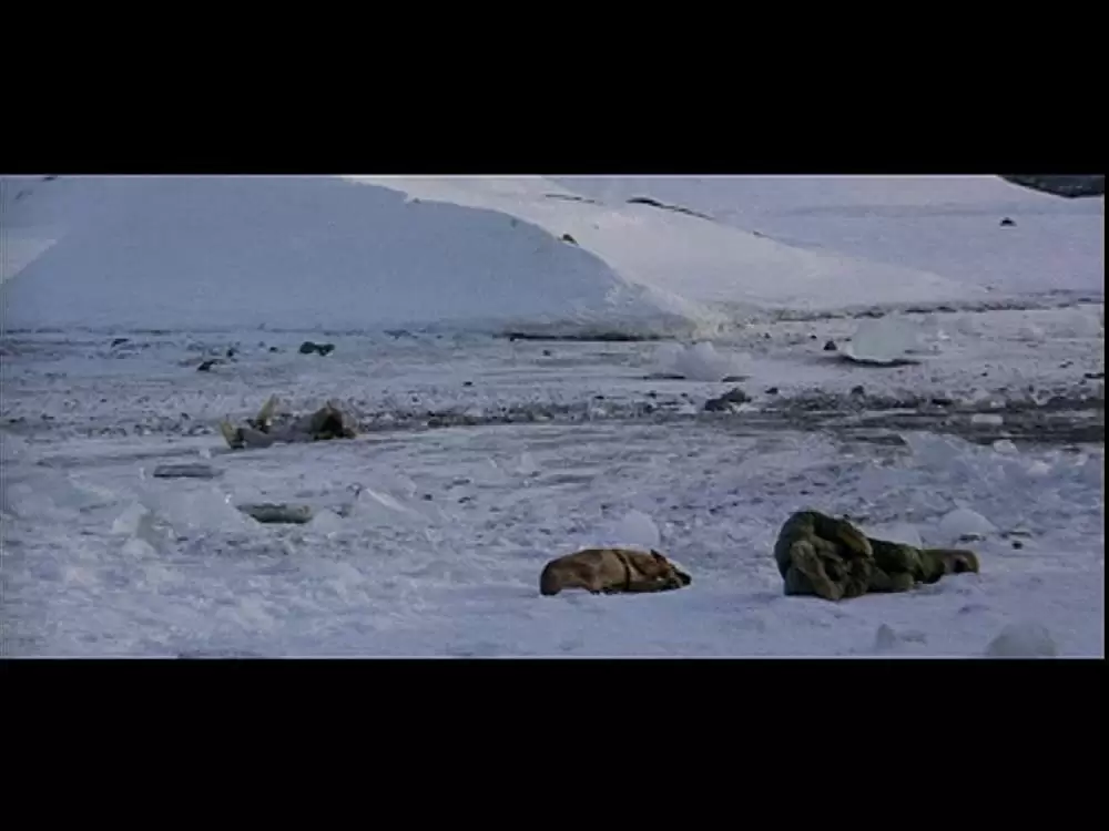 レイズ・ザ・タイタニックの画像