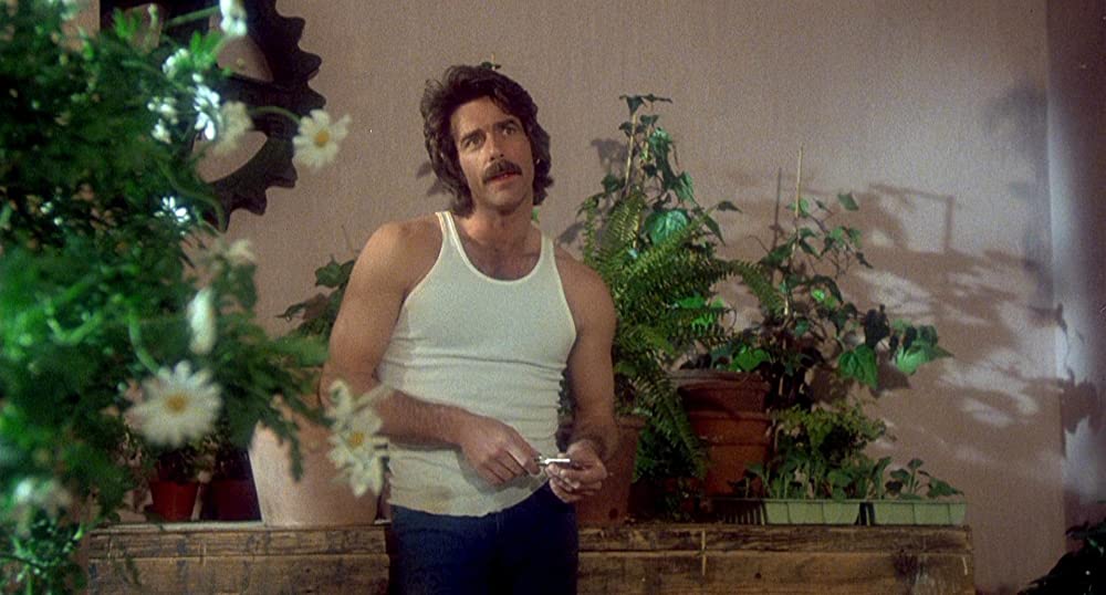 レガシーの画像