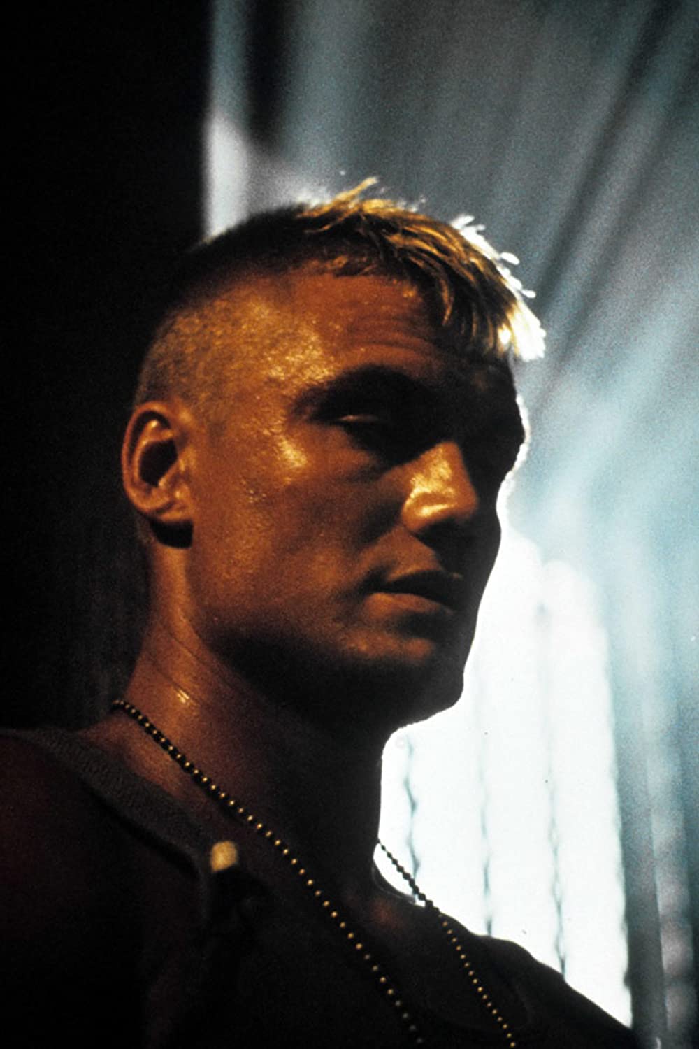 レッド・スコルピオンの画像