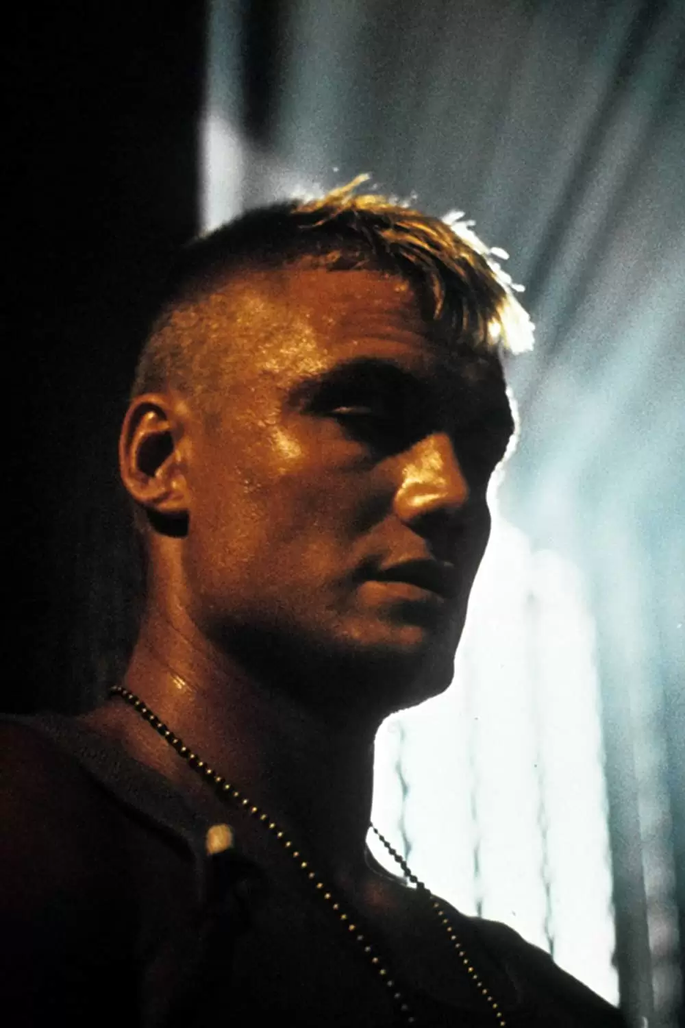 レッド・スコルピオンの画像