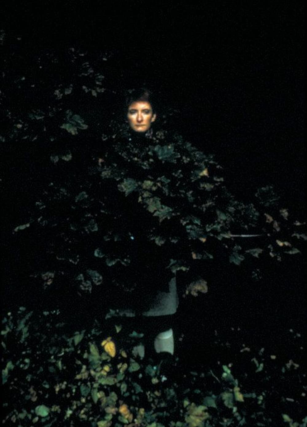 私は人魚の歌を聞いたの画像