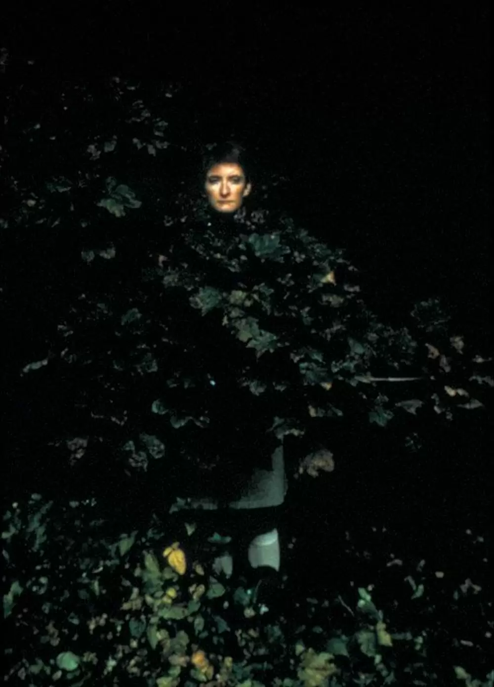 「私は人魚の歌を聞いた」シーラ・マッカーシーの画像