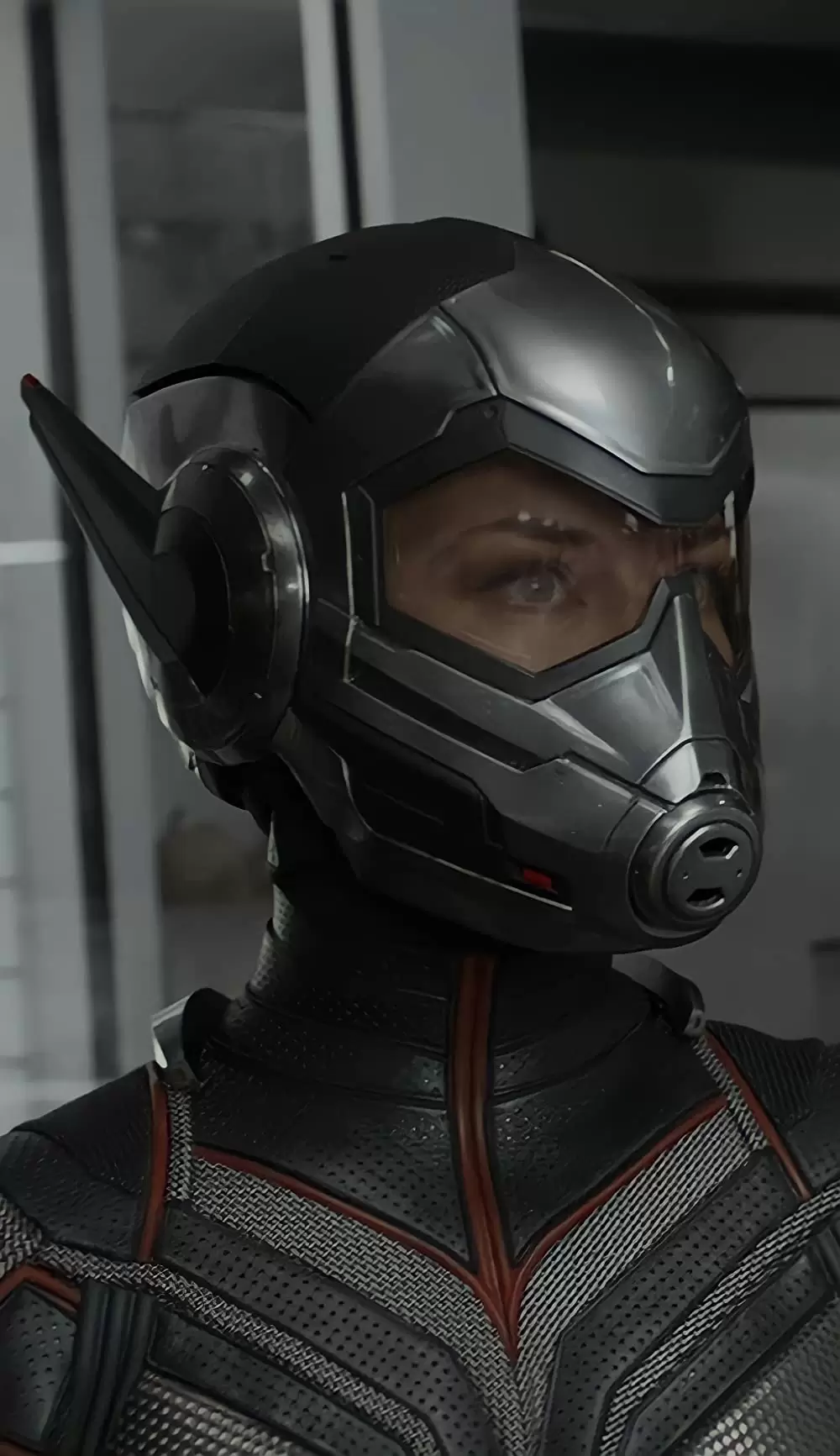 アントマン＆ワスプの画像