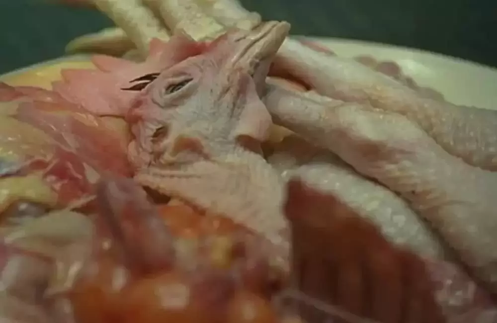 おくりびとの画像