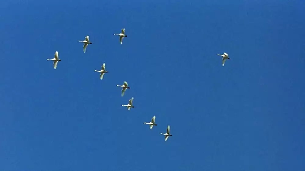 おくりびとの画像