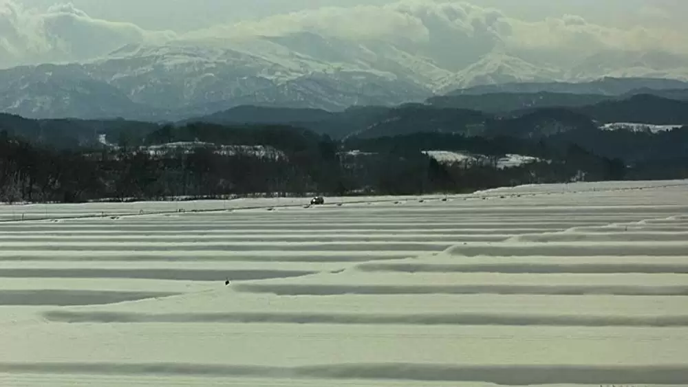 おくりびとの画像