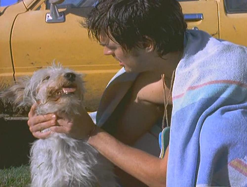 ミルクのお値段の画像