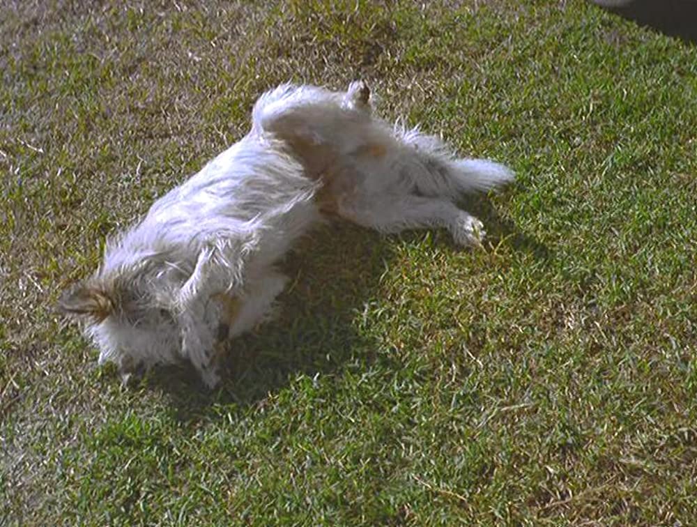 ミルクのお値段の画像