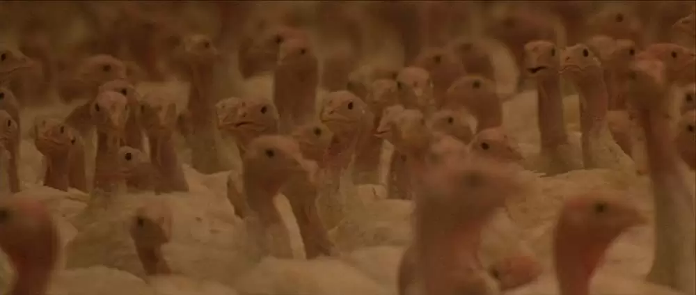 「プレッジ」の画像