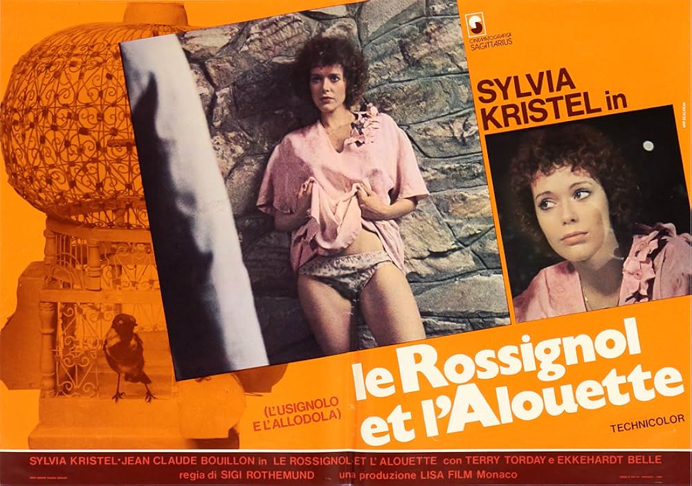 卒業試験の画像