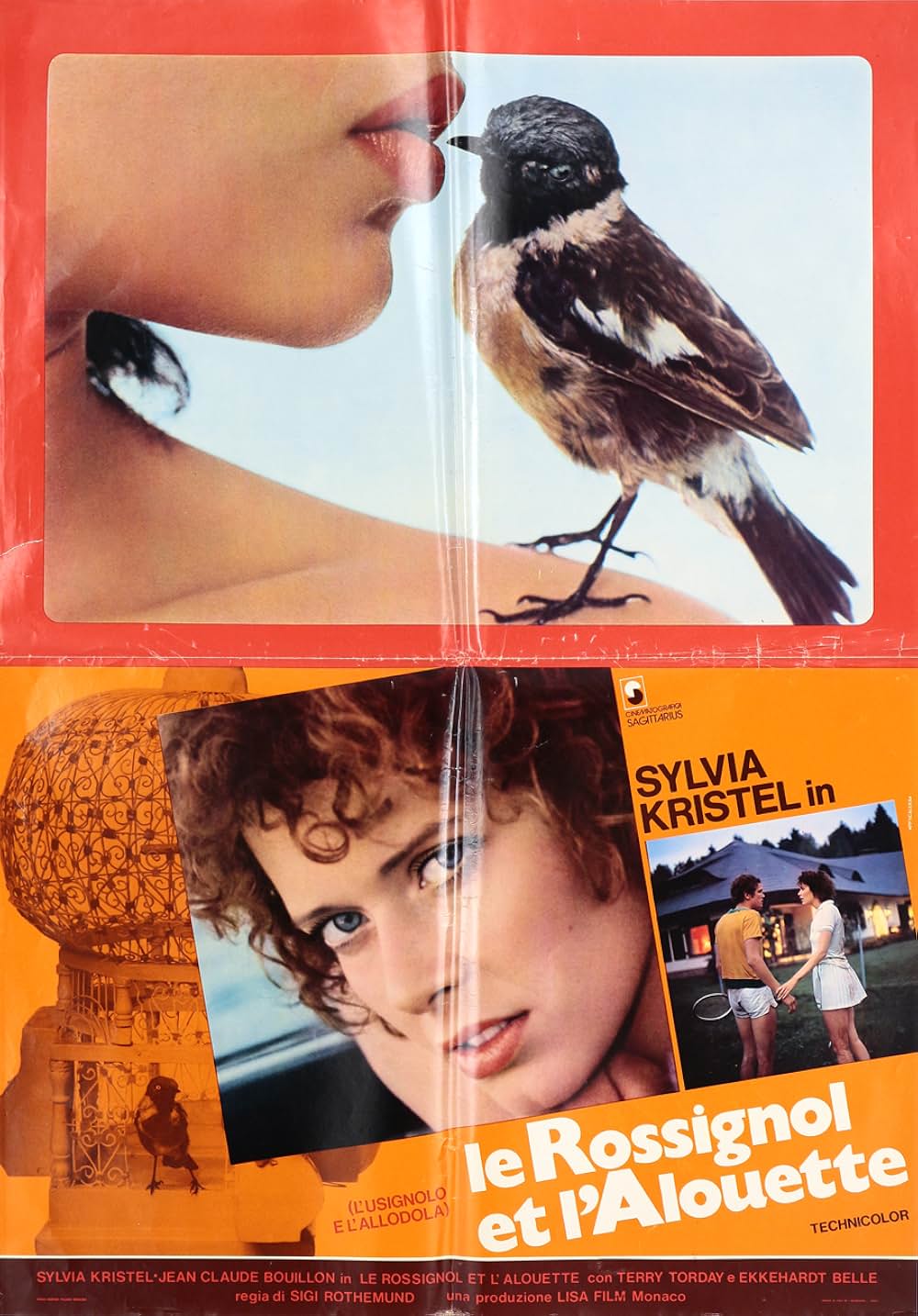 卒業試験の画像