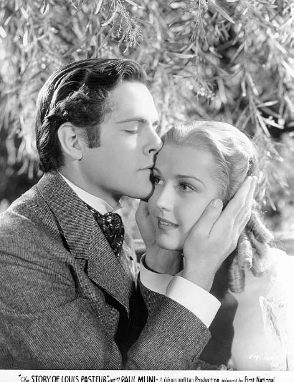 科学者の道の画像