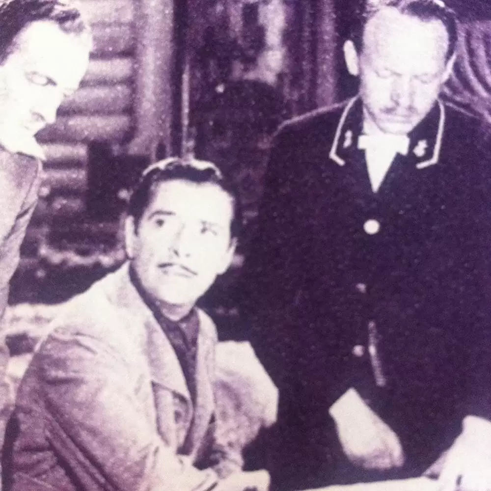 ゼンダ城の虜の画像