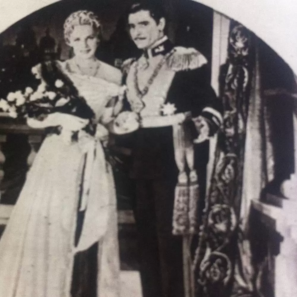 ゼンダ城の虜の画像